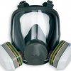 3M™ 6900 Yeniden Kullanılabilir Tam Yüz Maskesi (Large)